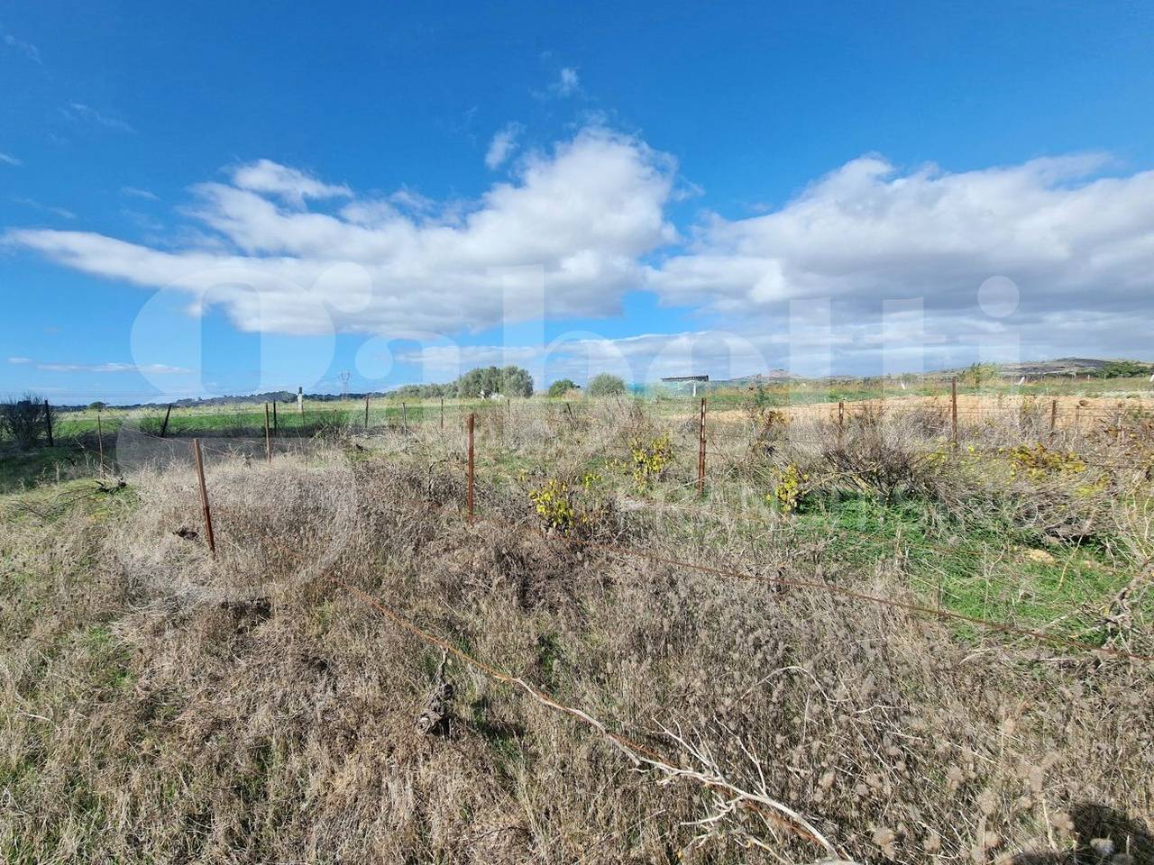 immagine annuncio 6 di 8