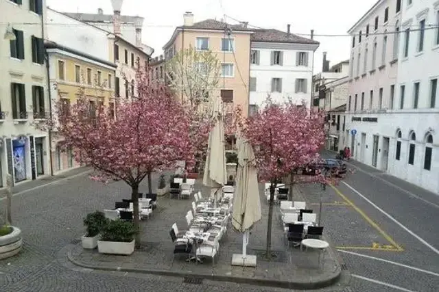 Negozio in Piazza Pola, Treviso - Foto 1