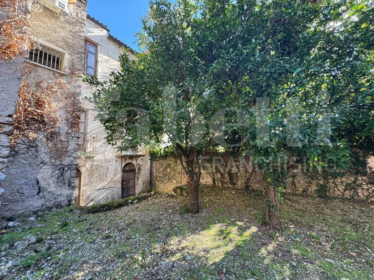 immagine annuncio 12 di 13