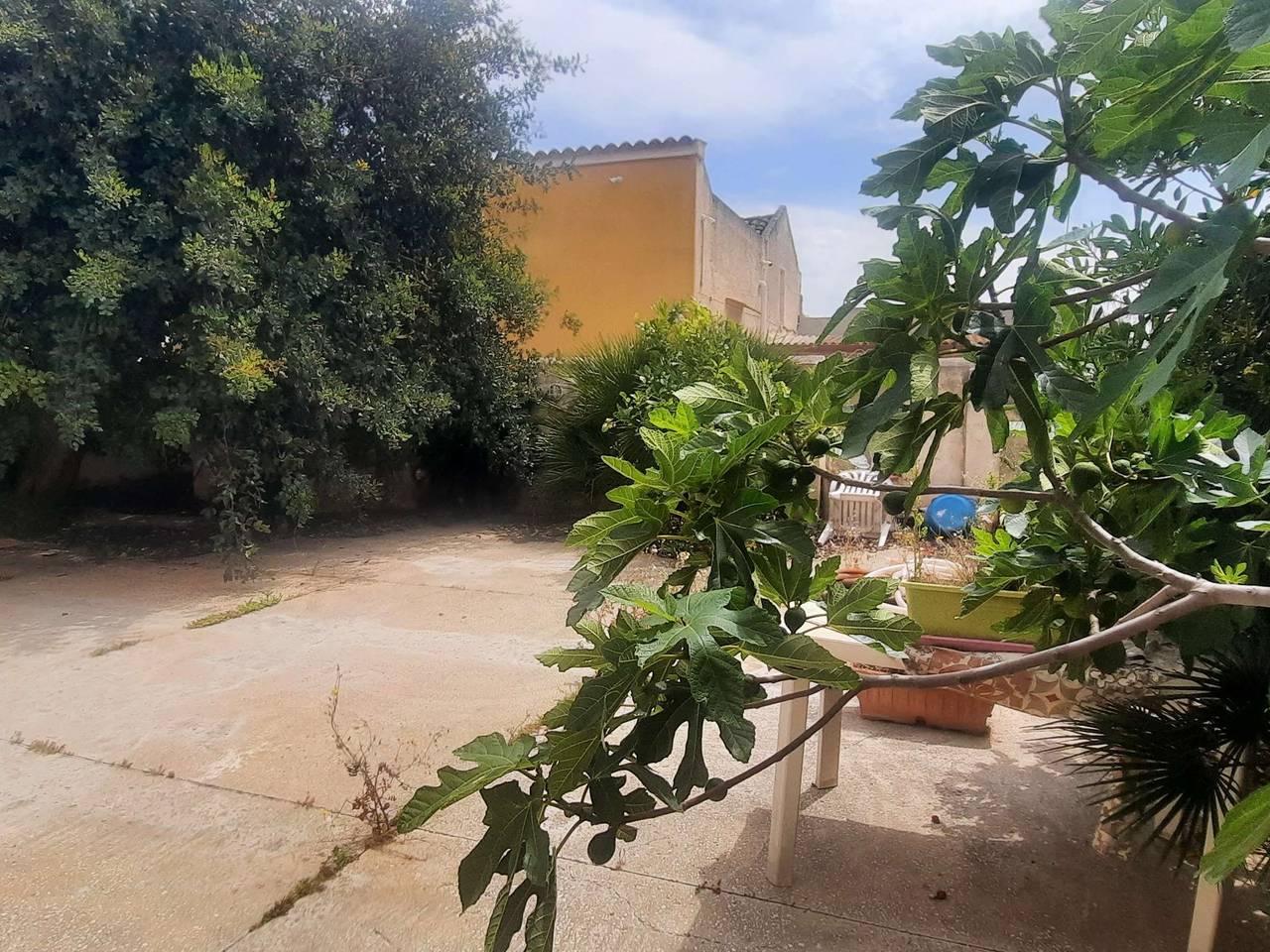 immagine annuncio 3 di 14