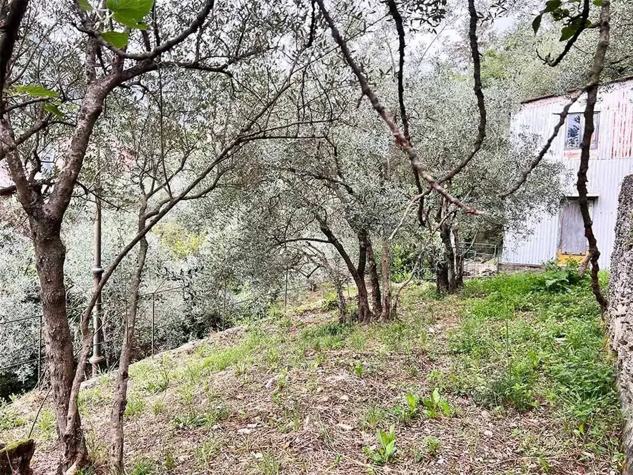 Magazzino in Località Poggio Favaro, Bogliasco, Bogliasco, {3} - Foto 2