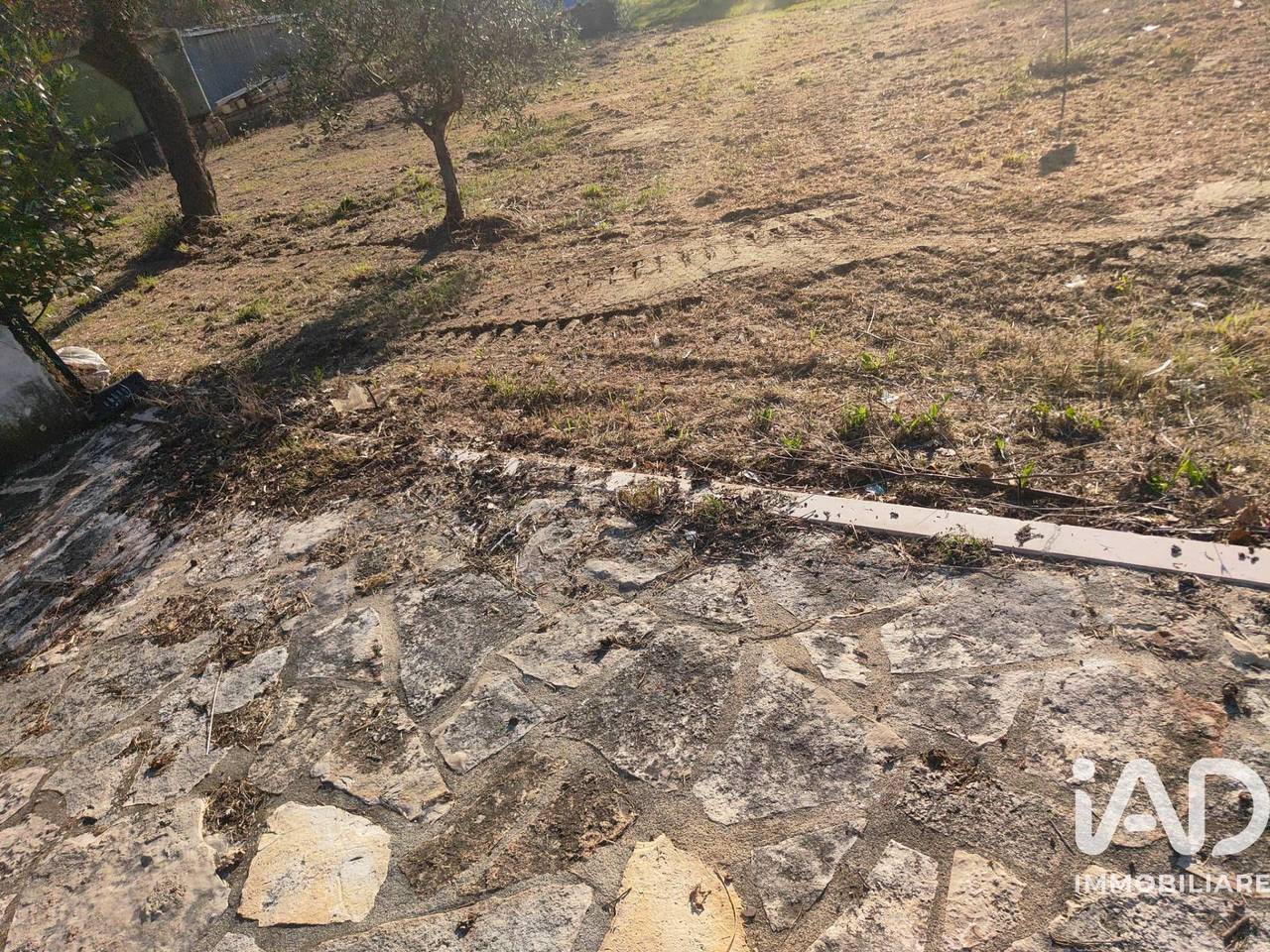 immagine annuncio 4 di 7