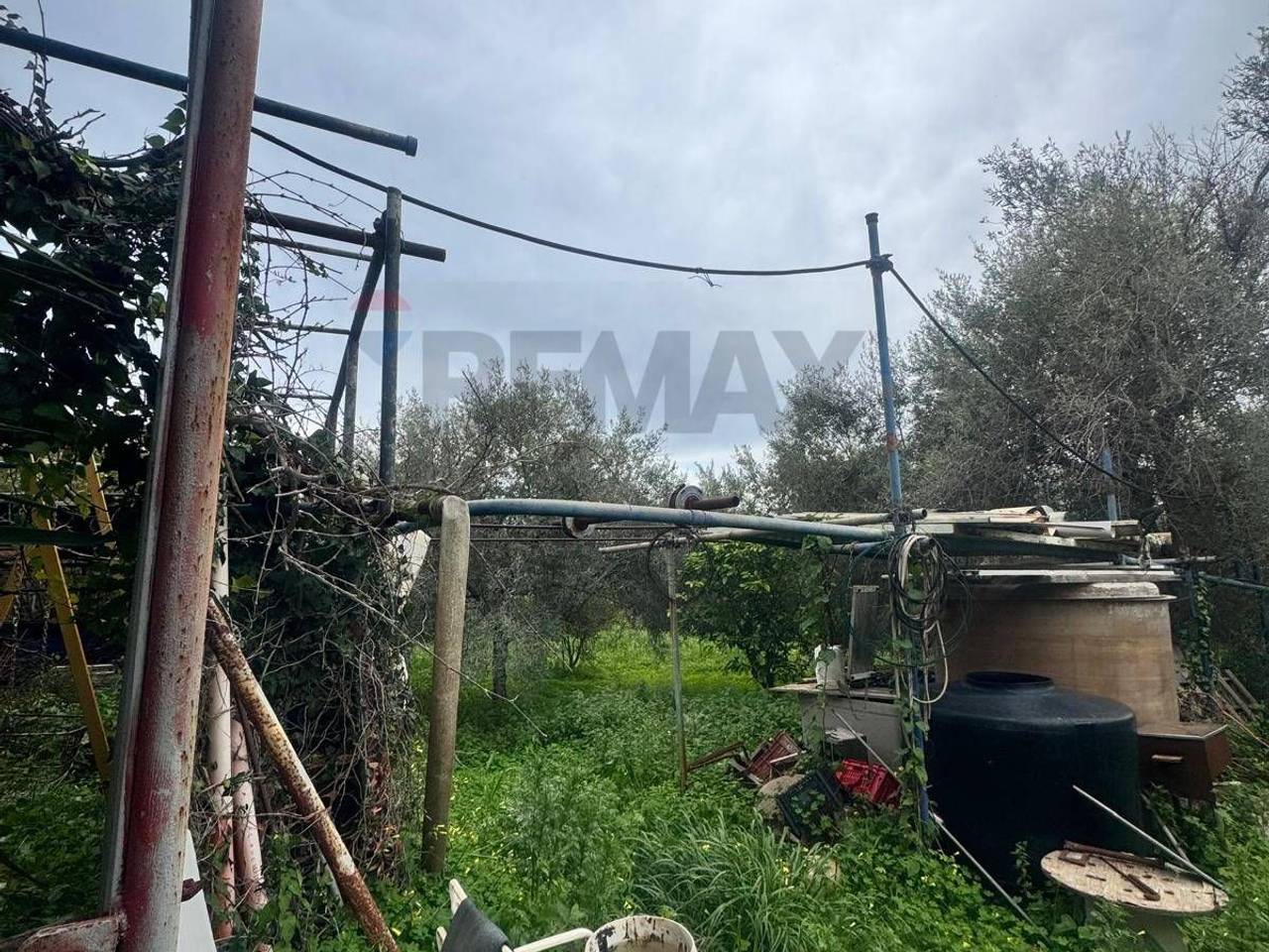 immagine annuncio 8 di 12