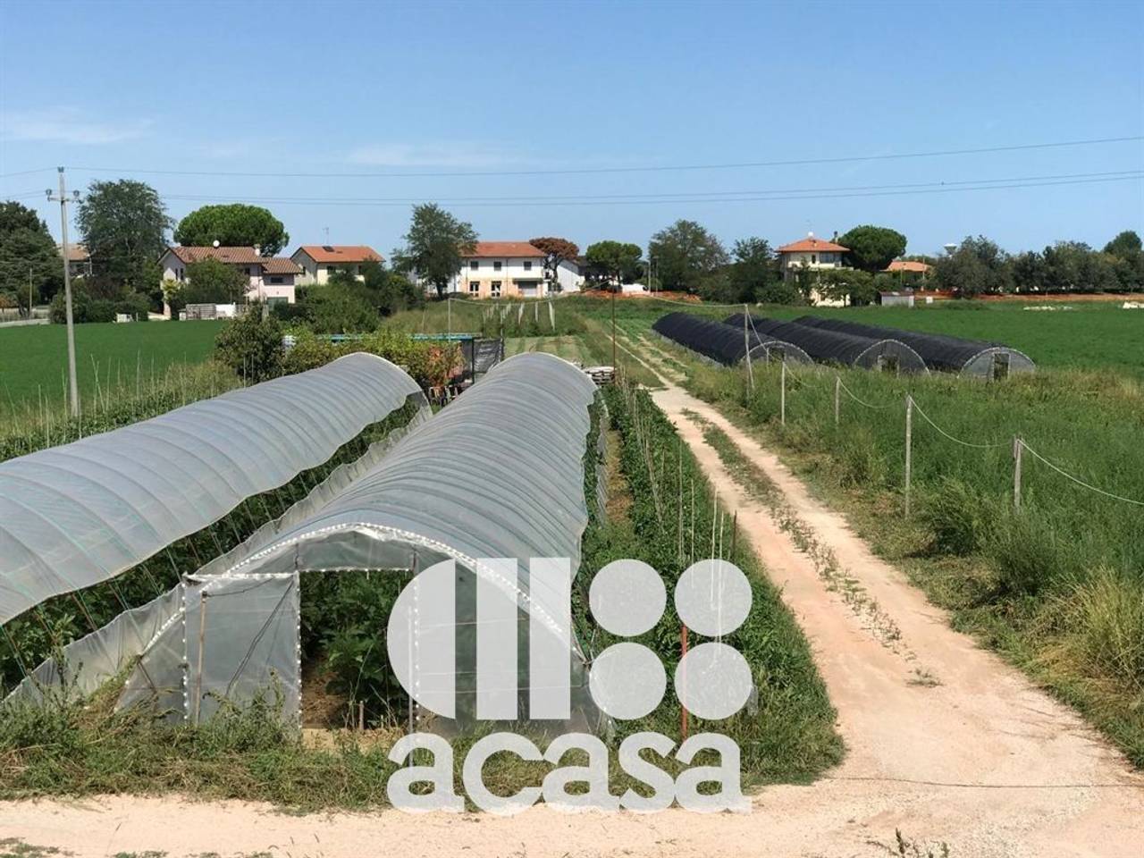 immagine annuncio 6 di 8