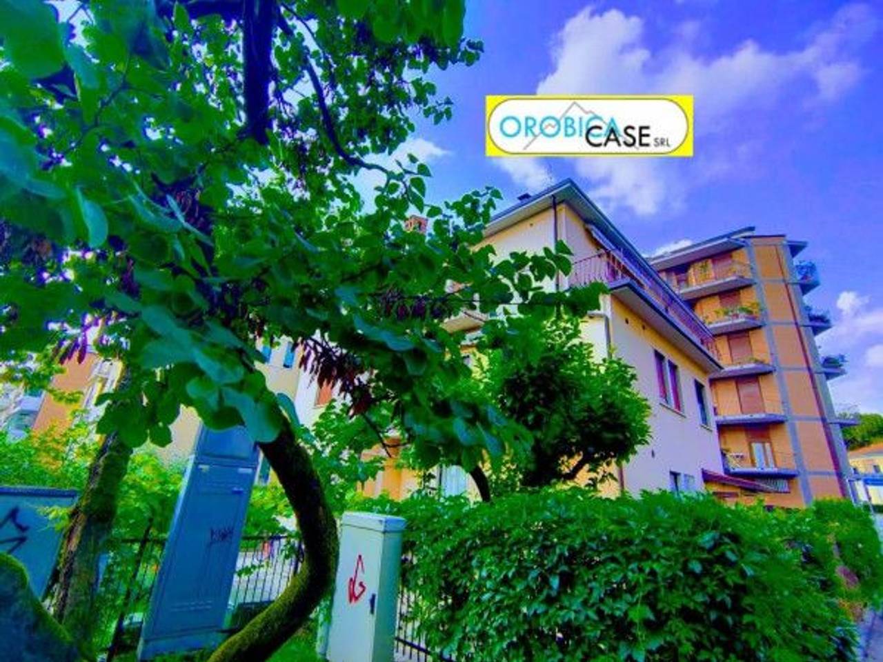 immagine annuncio 7 di 11