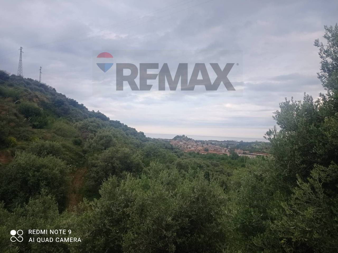 immagine annuncio 5 di 13