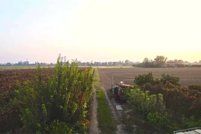 Terreno agricolo in Via Tre Ponti, 22, Carpi - Foto 1