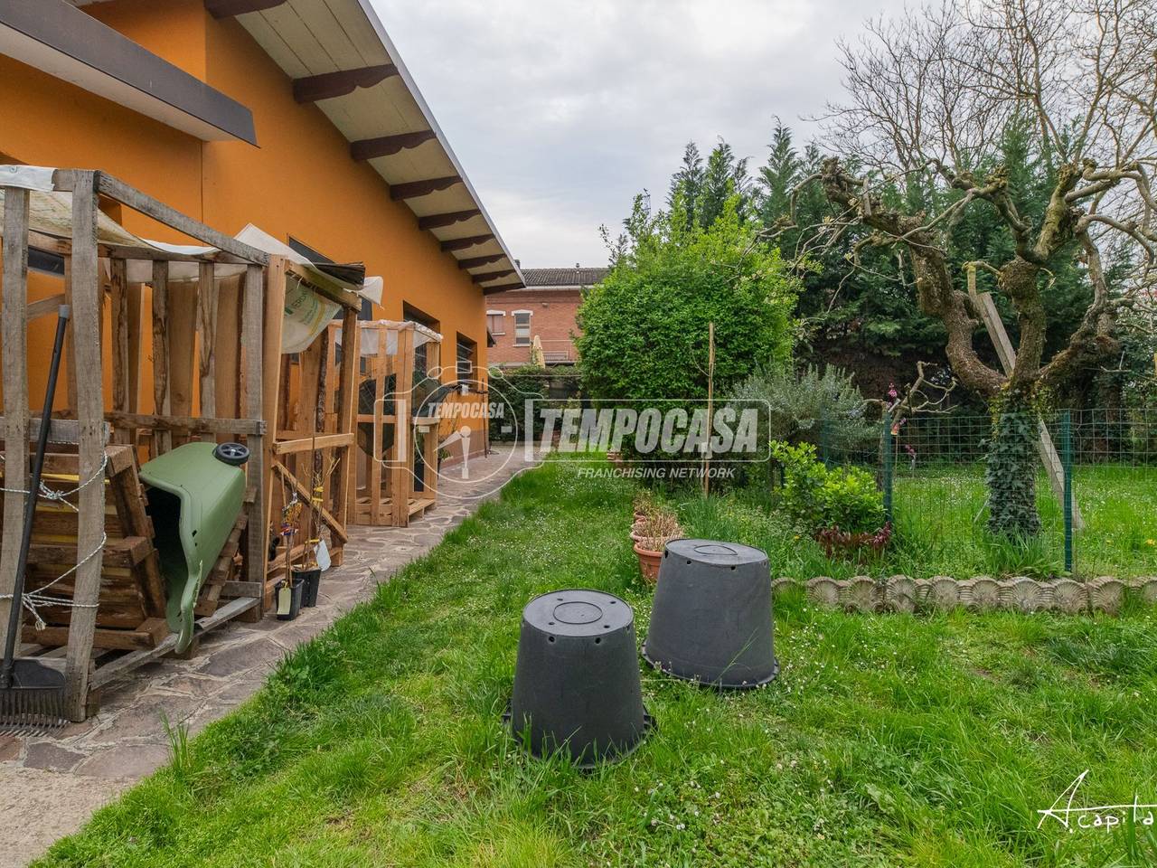 immagine annuncio 5 di 15