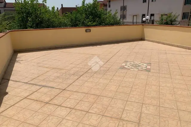 insertion image