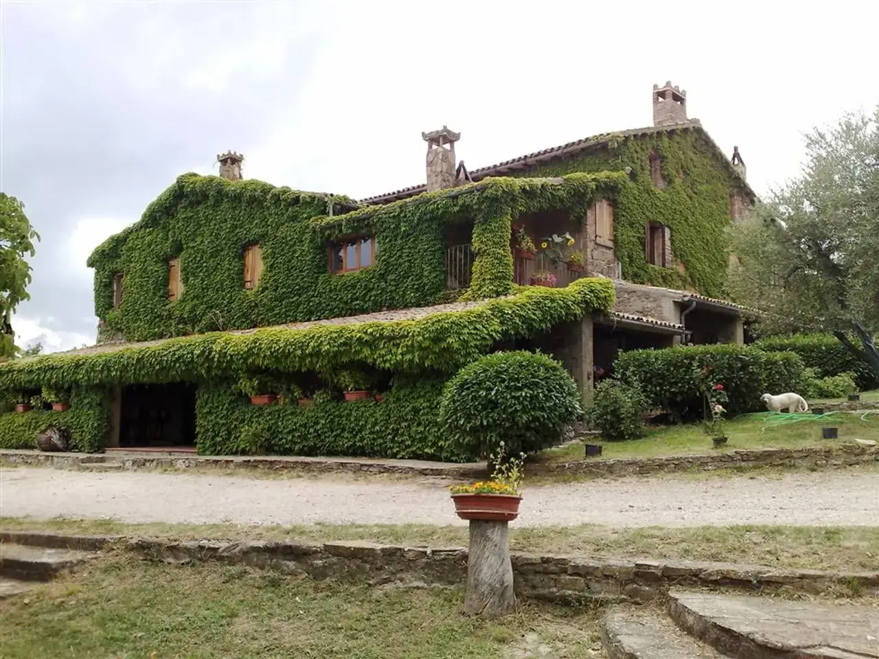Azienda agricola in , Orvieto, {3} - Foto 2