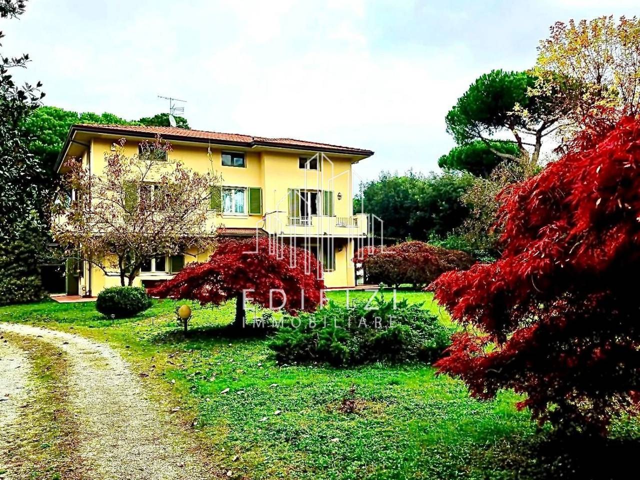 immagine annuncio 9 di 12