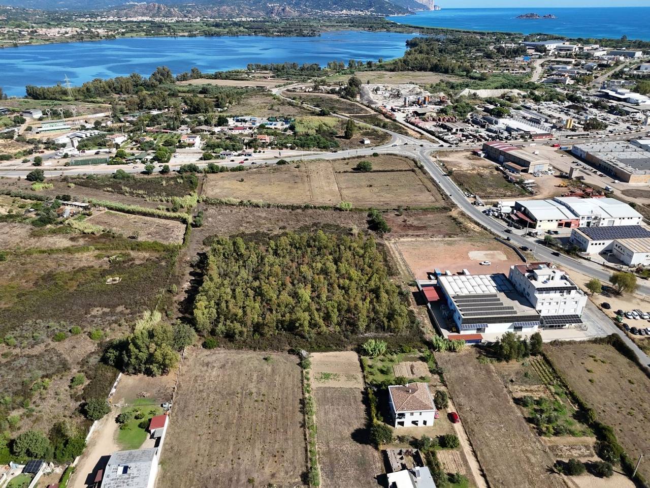 immagine annuncio 3 di 9