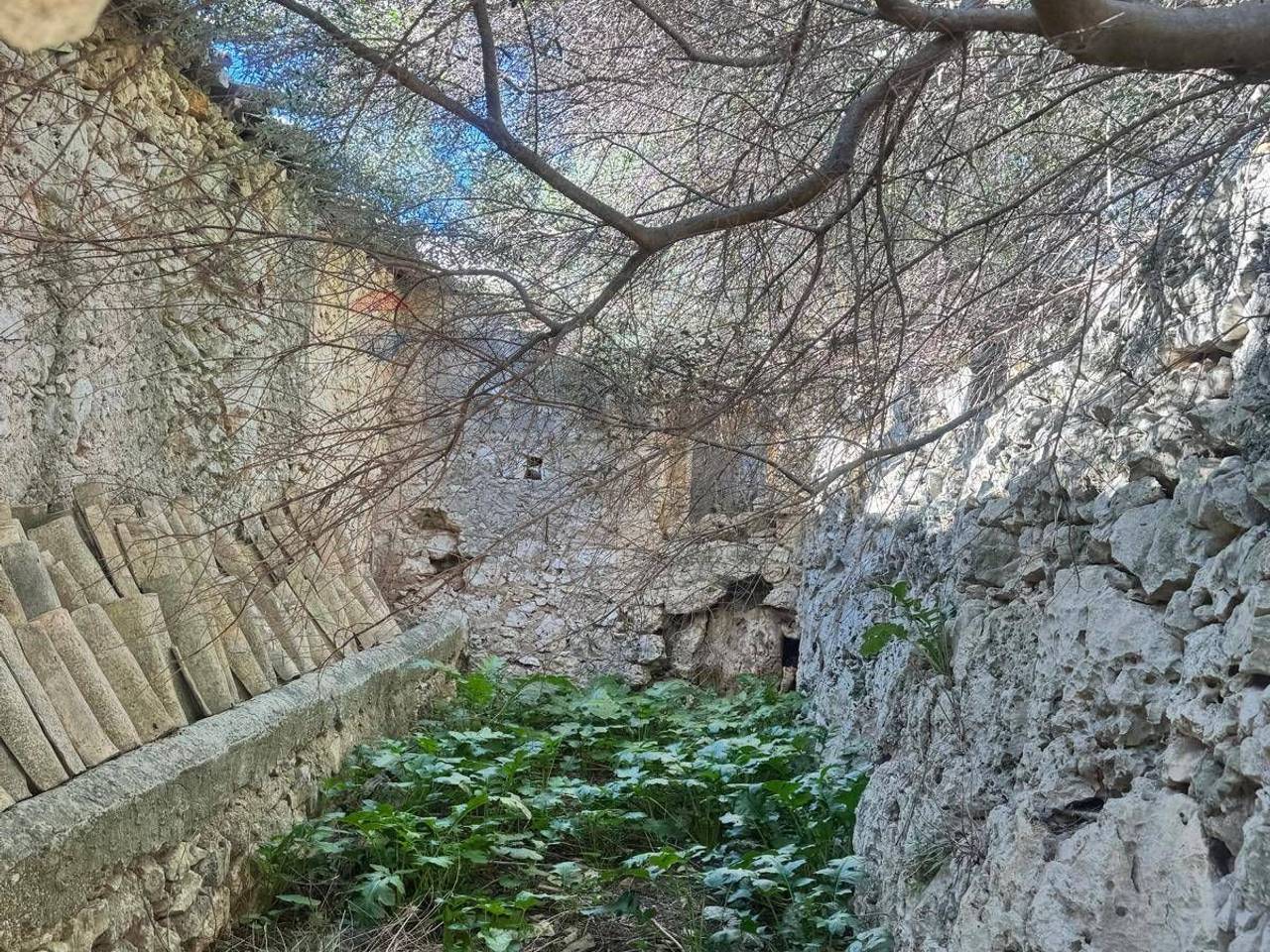 immagine annuncio 6 di 14