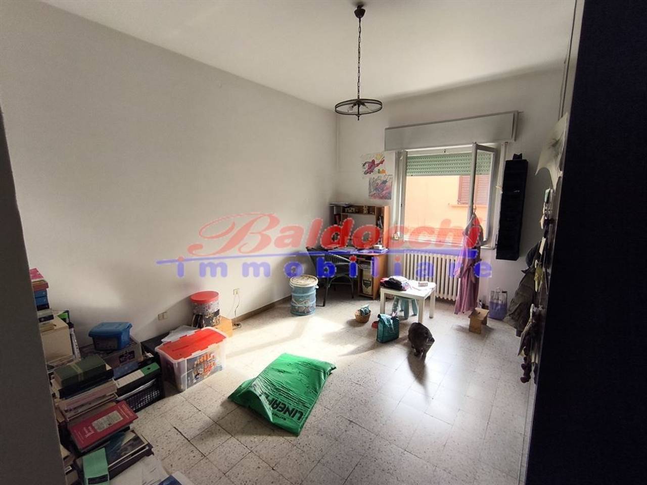 immagine annuncio 7 di 14