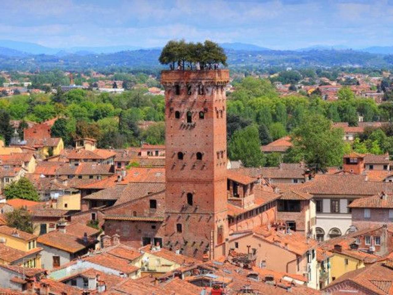 immagine annuncio 12 di 15