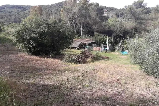 insertion image