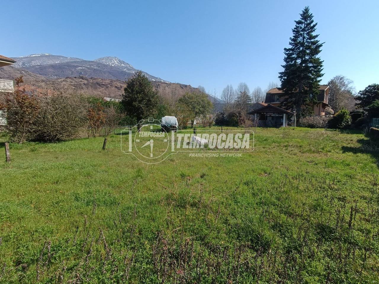 immagine annuncio 1 di 8