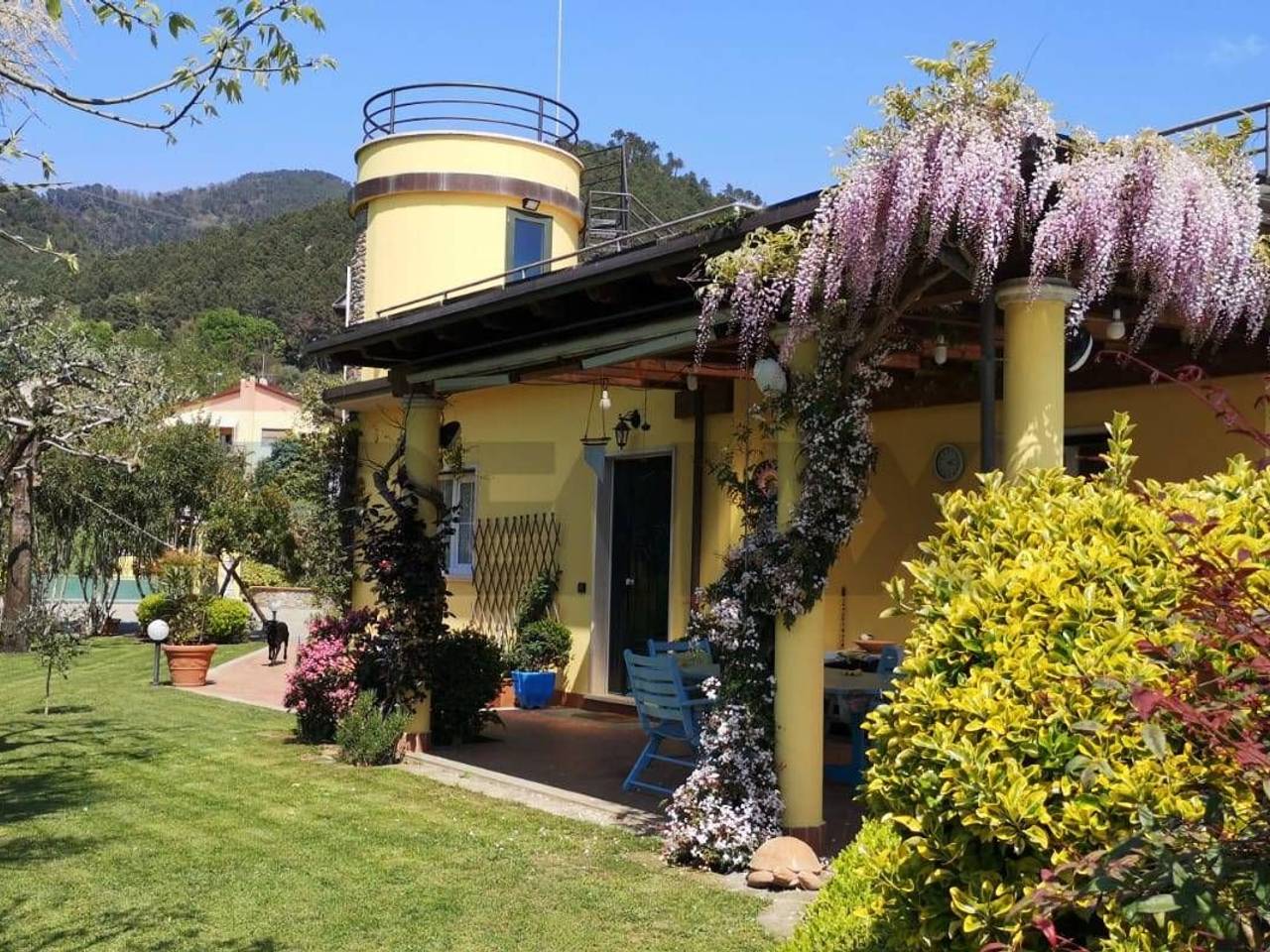 immagine annuncio 2 di 15