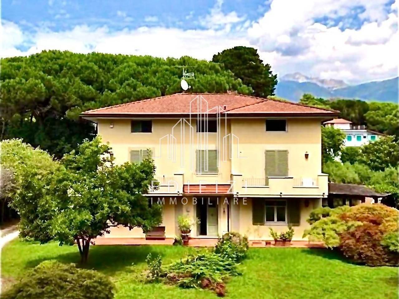 immagine annuncio 2 di 12