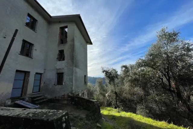 Country house or cottage, Lucca - Photo 1