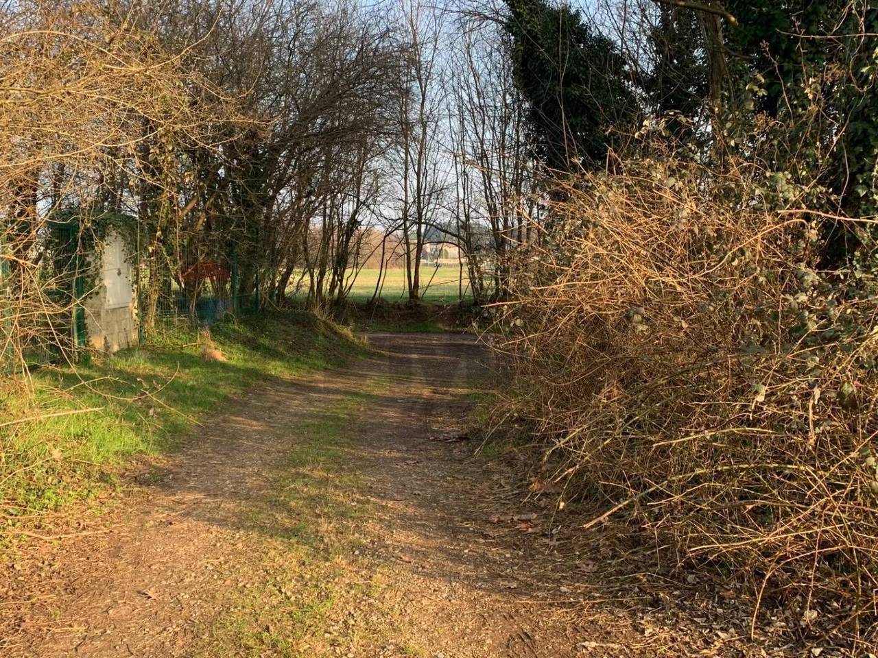 immagine annuncio 14 di 15