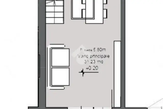 insertion image