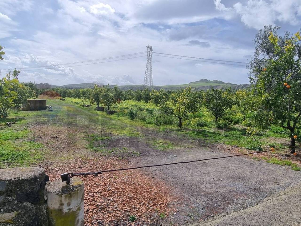 immagine annuncio 9 di 12