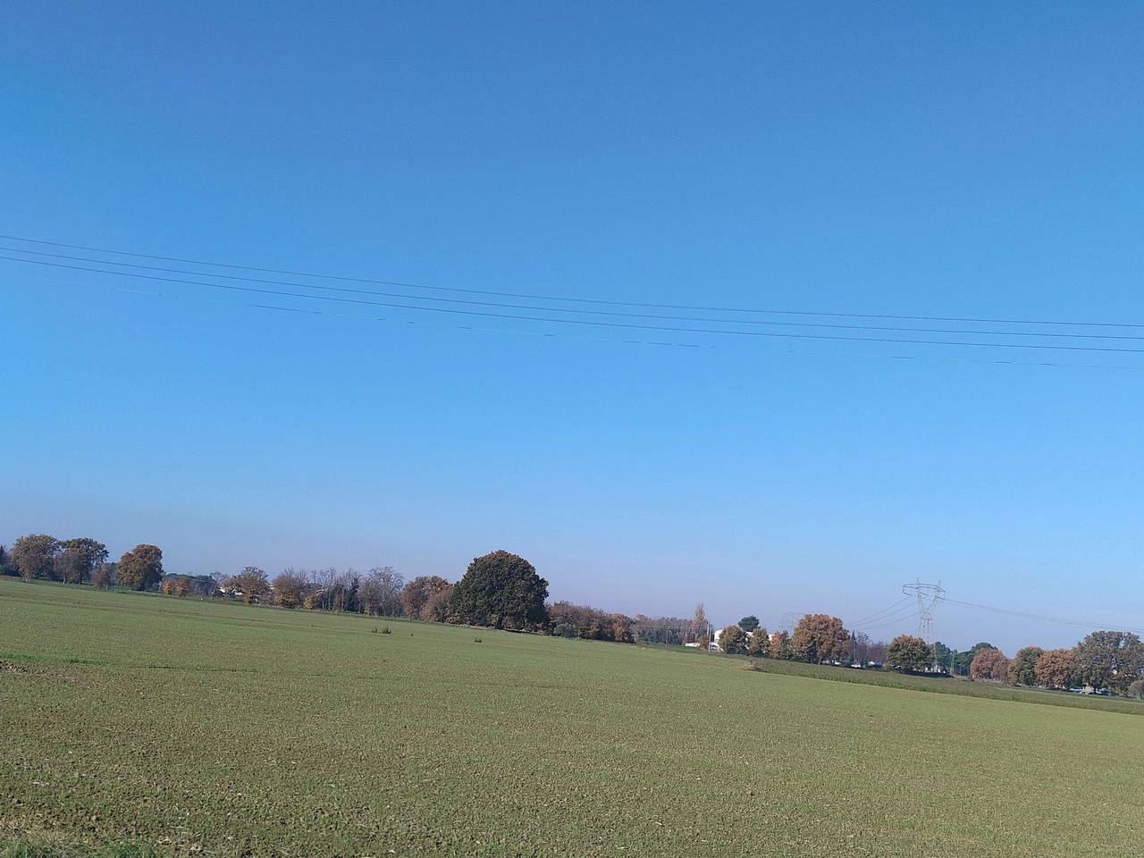 immagine annuncio 10 di 13