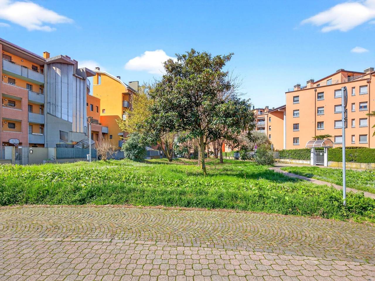 immagine annuncio 12 di 15