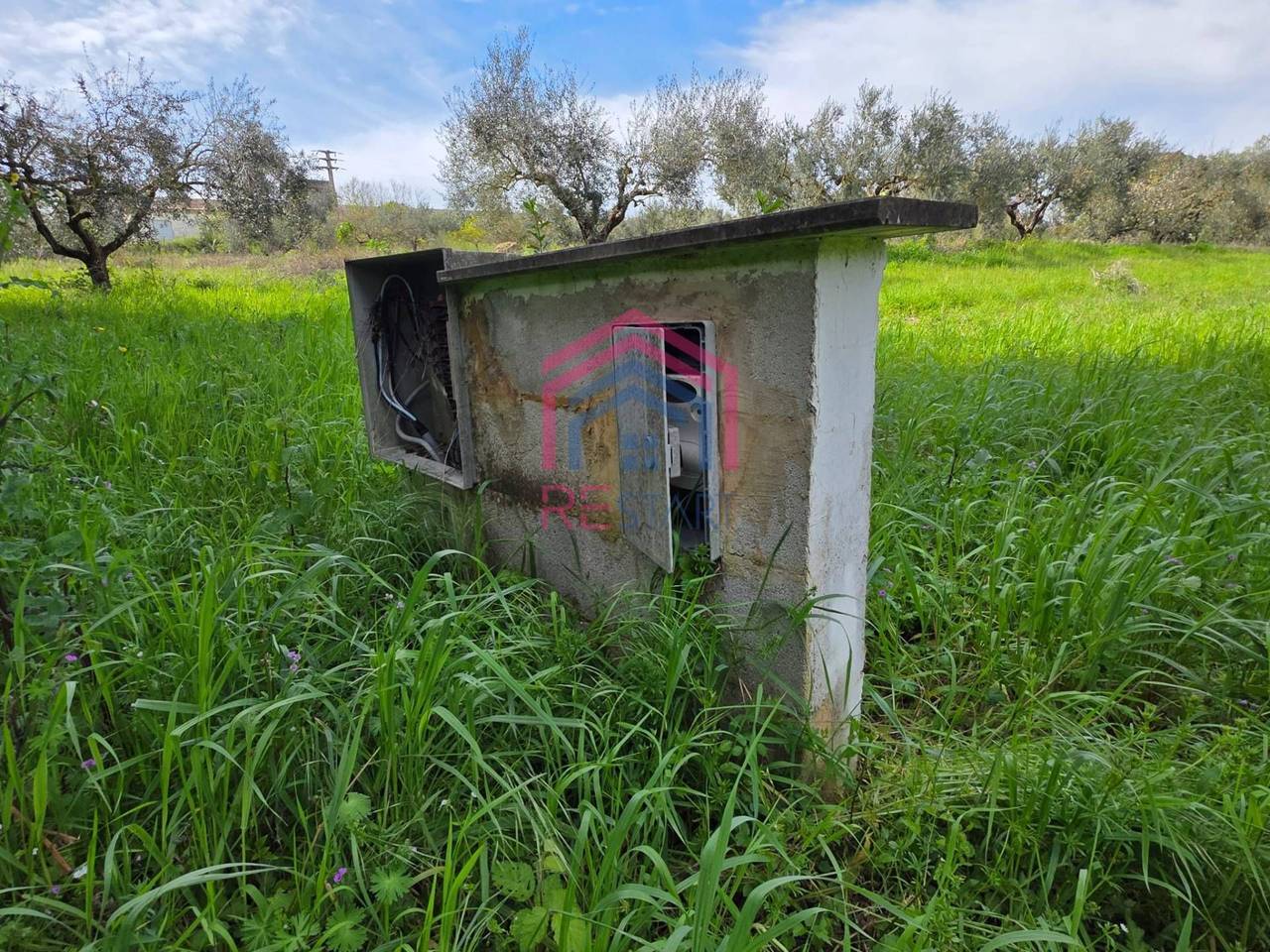 immagine annuncio 5 di 8