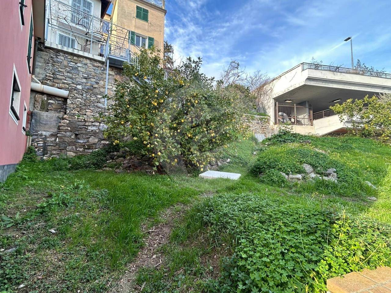 immagine annuncio 8 di 15