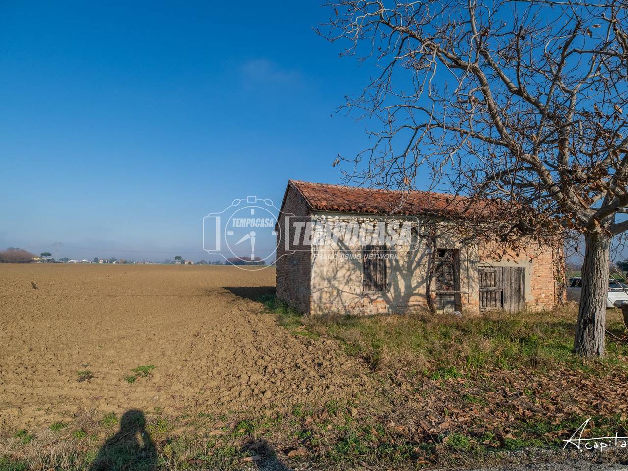 immagine annuncio 4 di 12