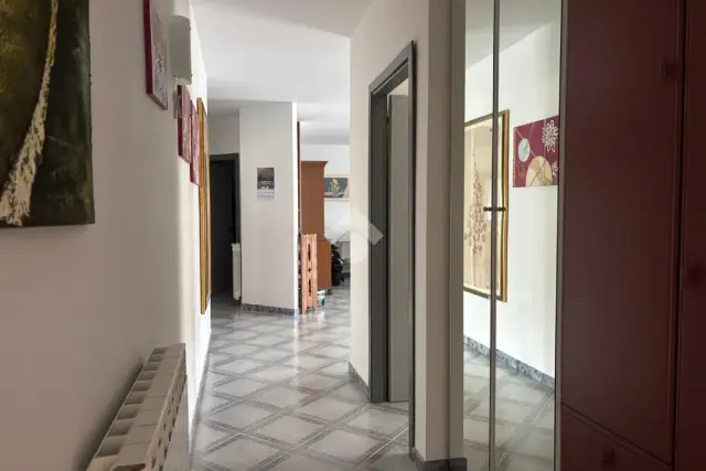 insertion image