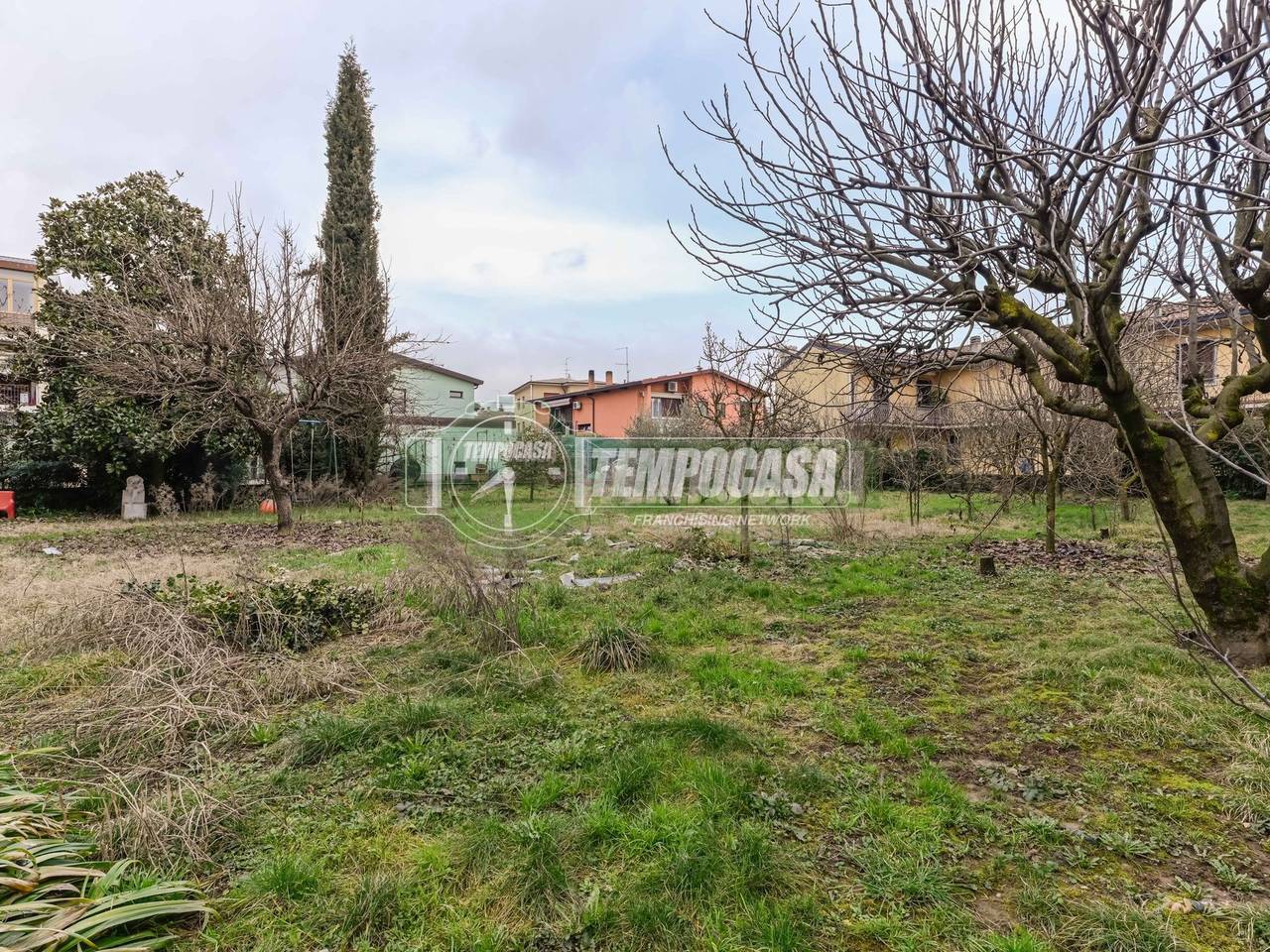 immagine annuncio 3 di 12