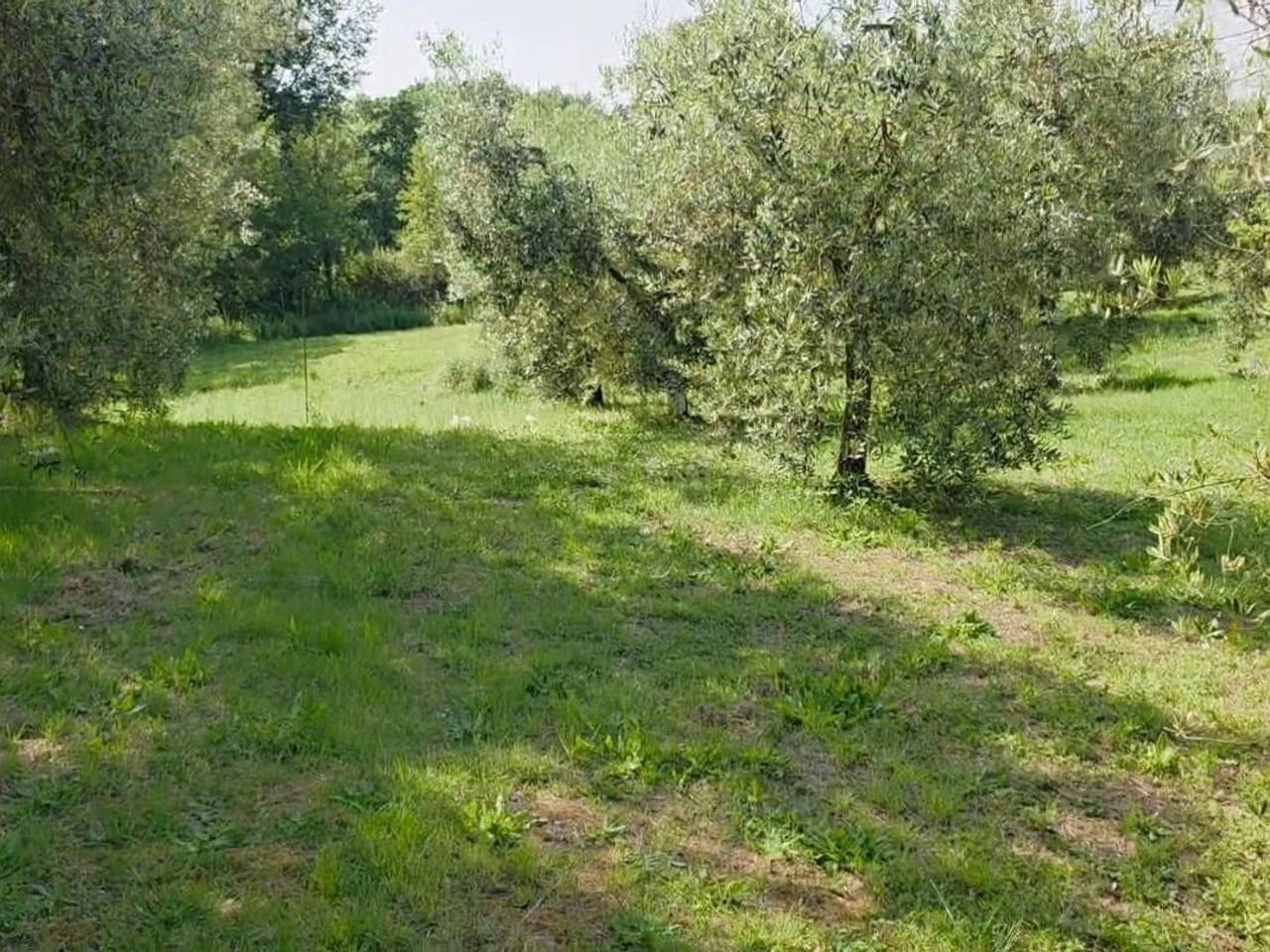 immagine annuncio 2 di 13