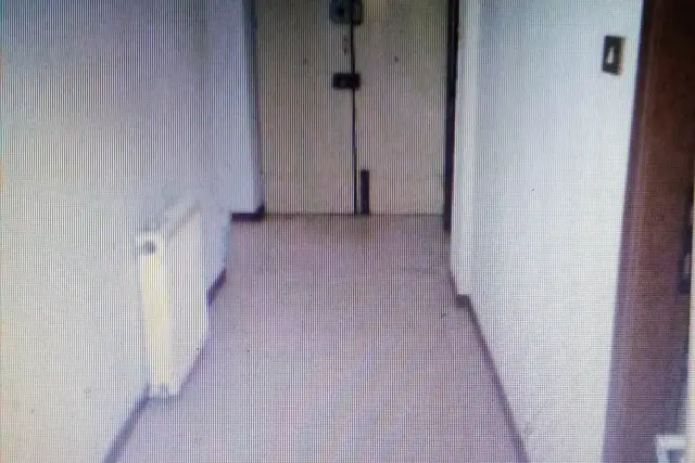 insertion image