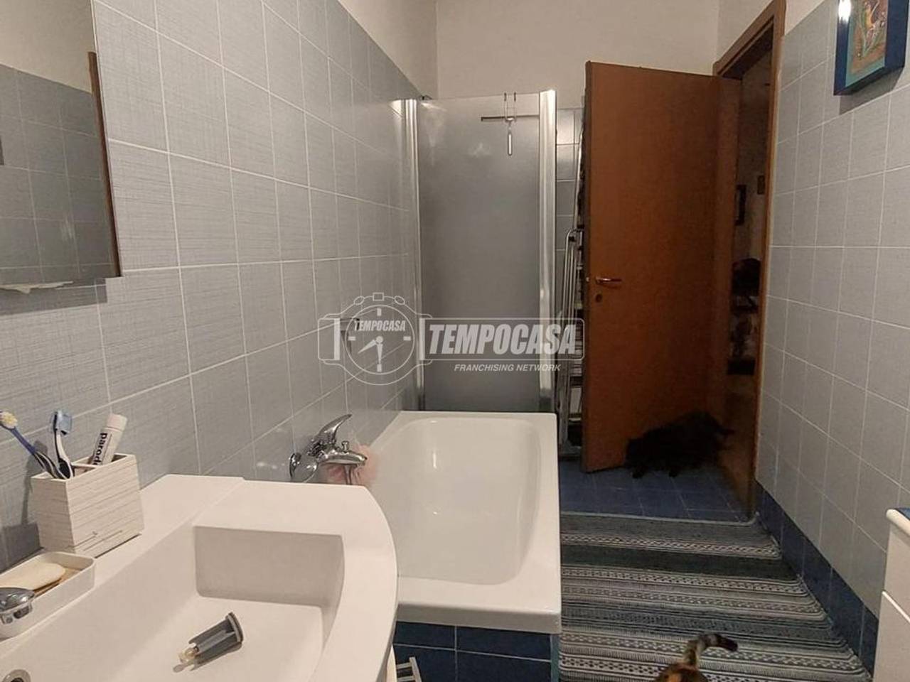 immagine annuncio 9 di 11