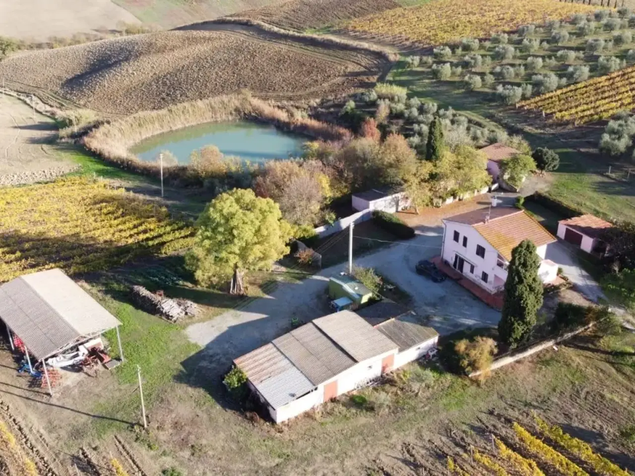 Azienda agricola in , Magliano in Toscana, {3} - Foto 1