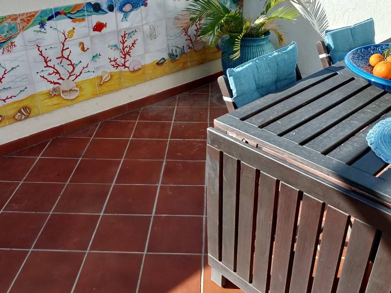 immagine annuncio 5 di 14