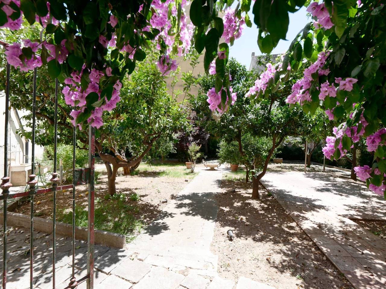 immagine annuncio 3 di 7