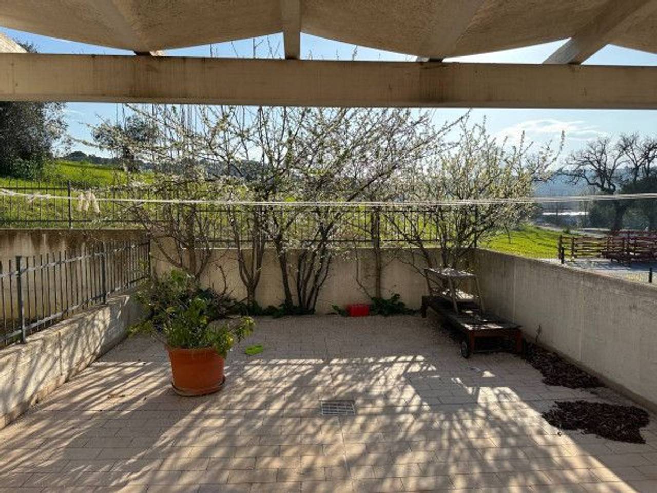 immagine annuncio 4 di 7