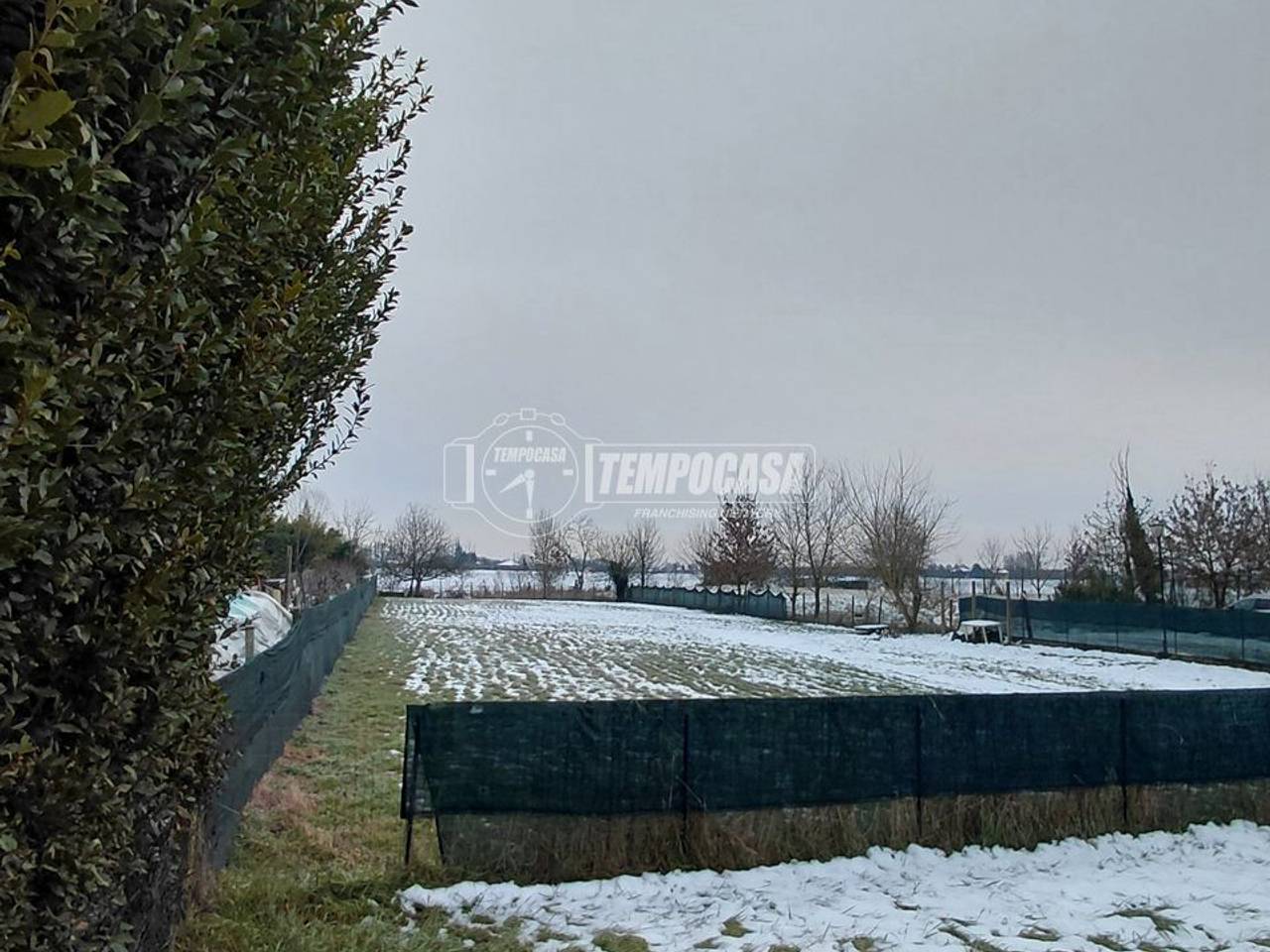 immagine annuncio 4 di 6