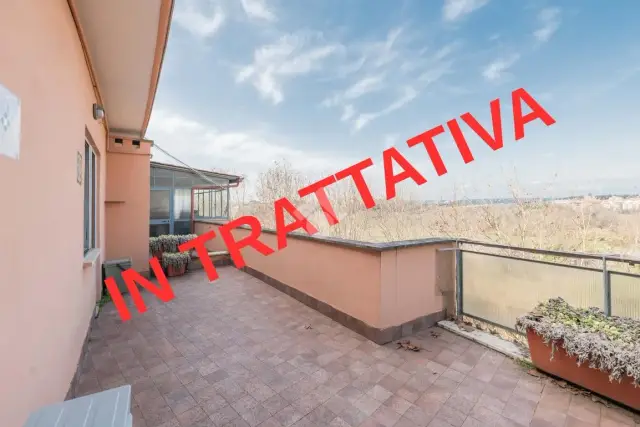 insertion image