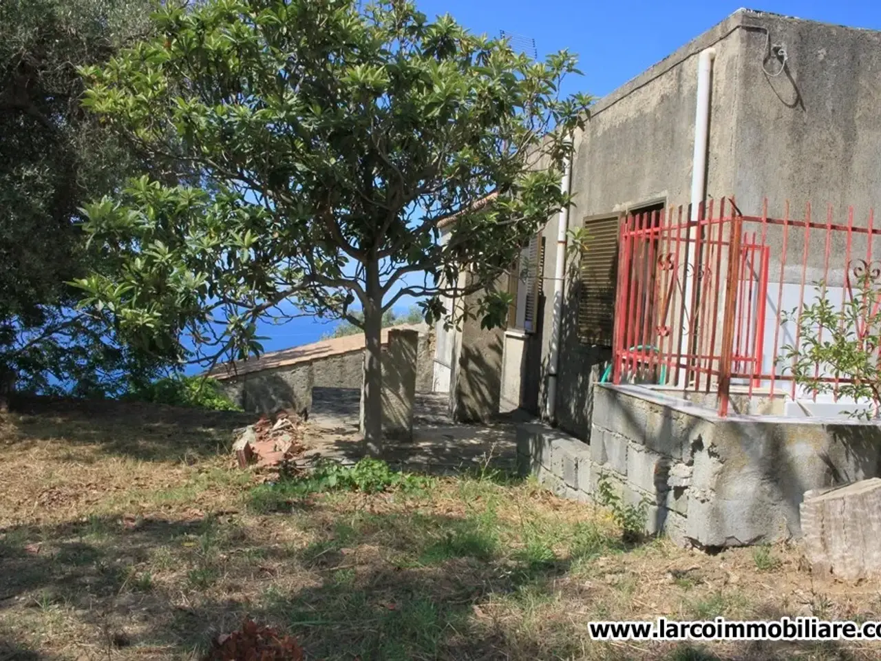 Podere - Tenuta in Contrada Olivella  | Belvedere Marittimo  (Cosenza), Belvedere Marittimo, {3} - Foto 1