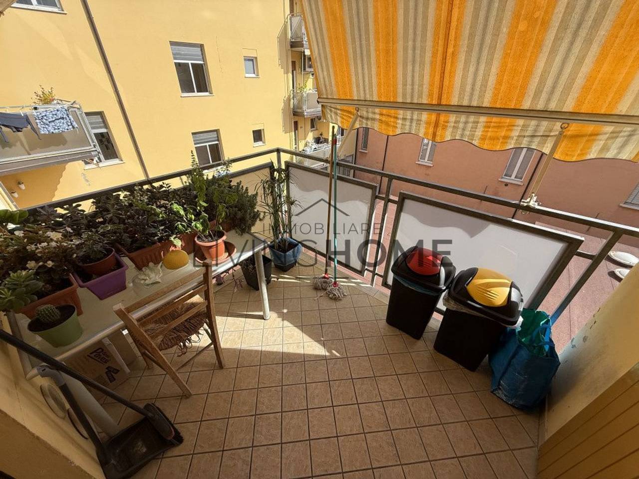 immagine annuncio 5 di 14