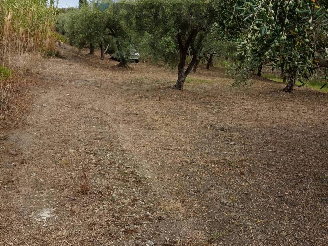 immagine annuncio 4 di 8