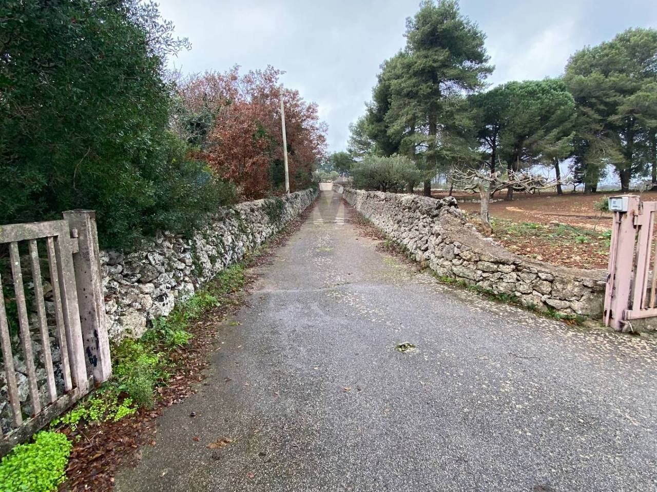 immagine annuncio 11 di 13