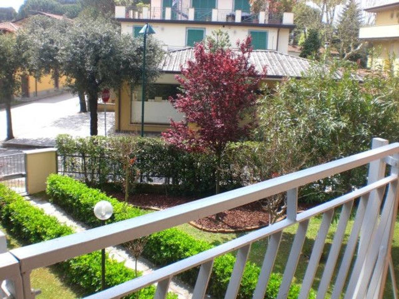 immagine annuncio 3 di 6