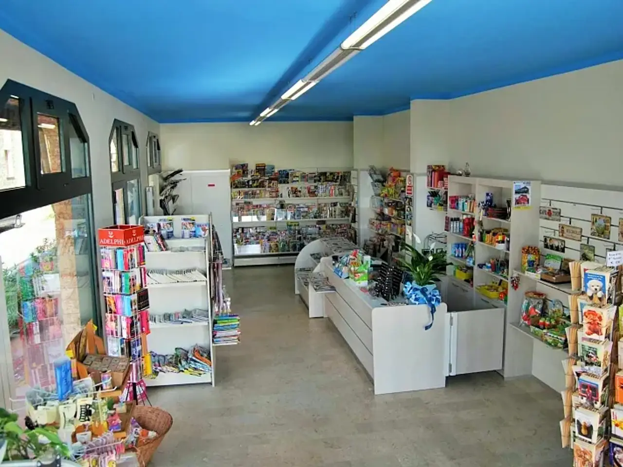 Negozio in Via Borgo Padova, Castelfranco Veneto, {3} - Foto 1