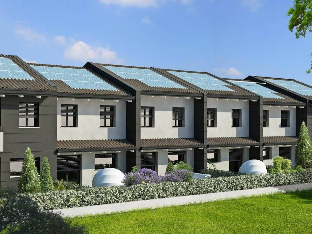 immagine annuncio 3 di 13